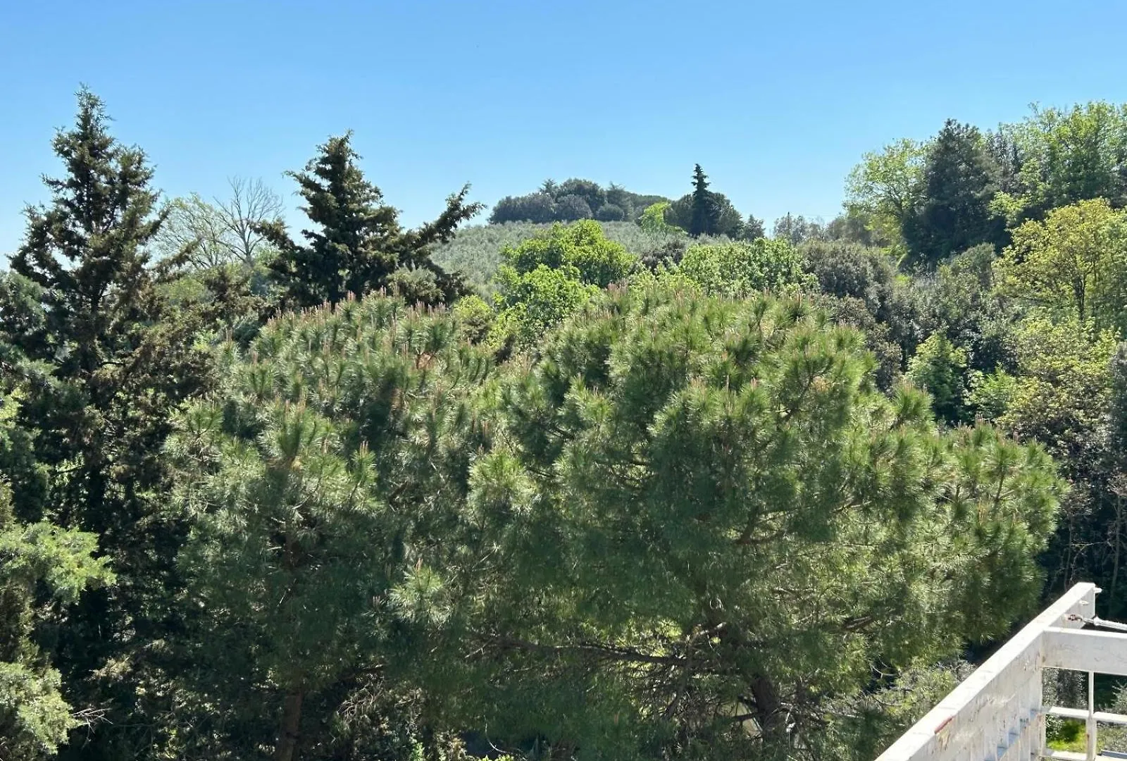 Bed & Breakfast Residenza Sandrini Gambassi Terme Italia